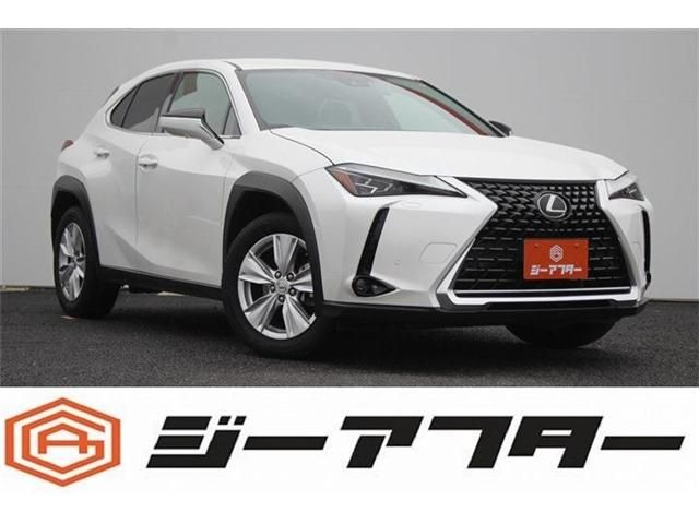 LEXUS UX250h