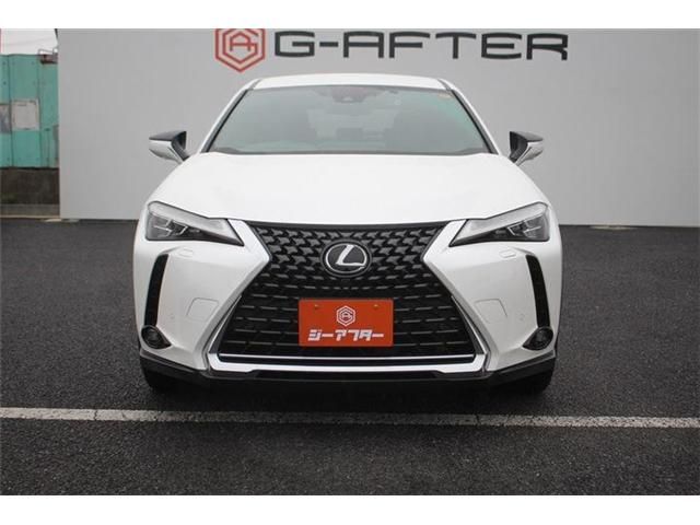 LEXUS UX250h