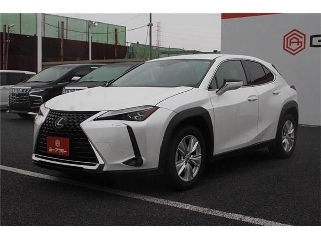 LEXUS UX250h