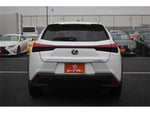LEXUS UX250h