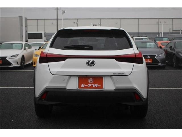 LEXUS UX250h