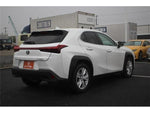 LEXUS UX250h