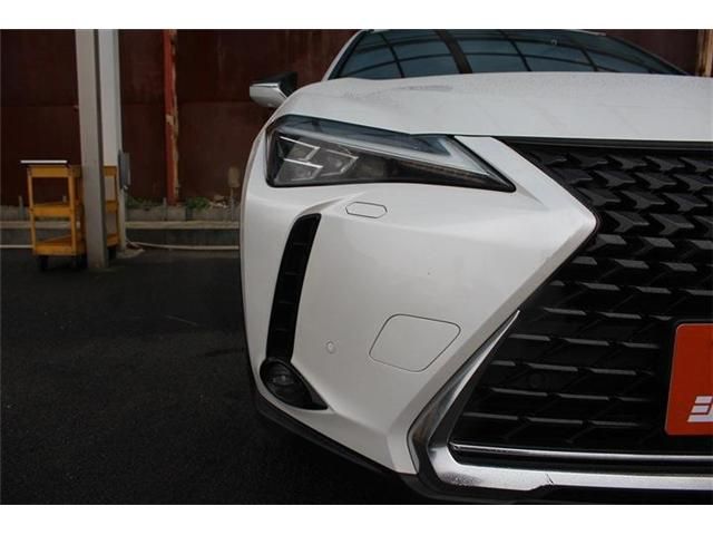 LEXUS UX250h
