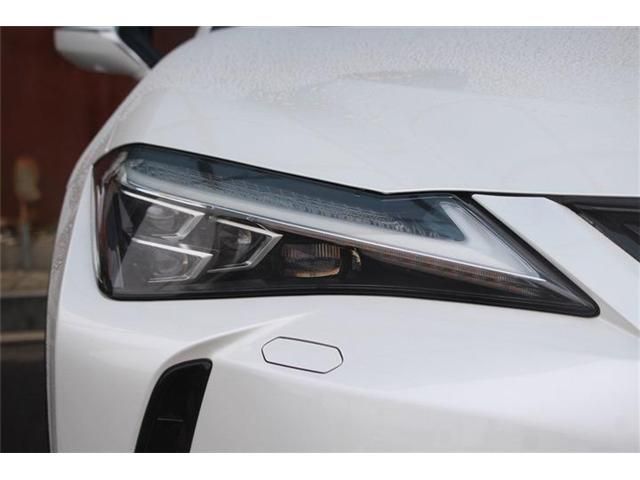 LEXUS UX250h