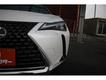 LEXUS UX250h