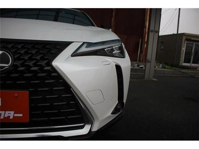 LEXUS UX250h