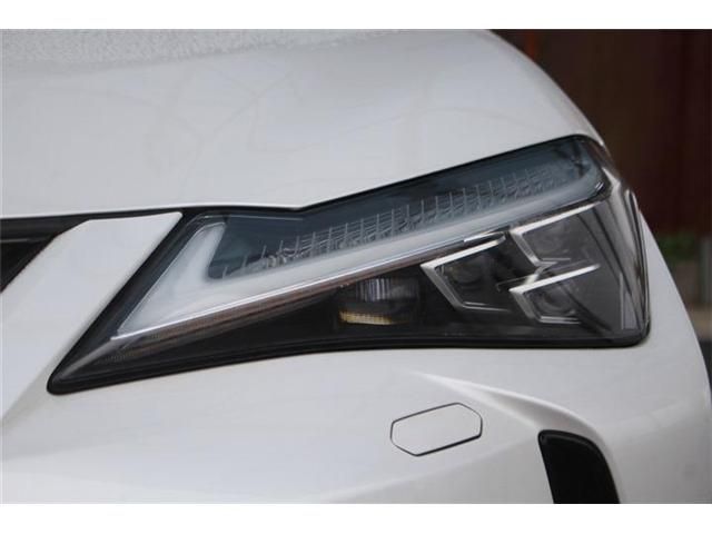 LEXUS UX250h