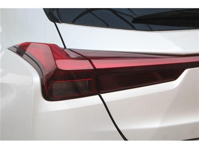 LEXUS UX250h