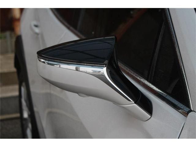 LEXUS UX250h