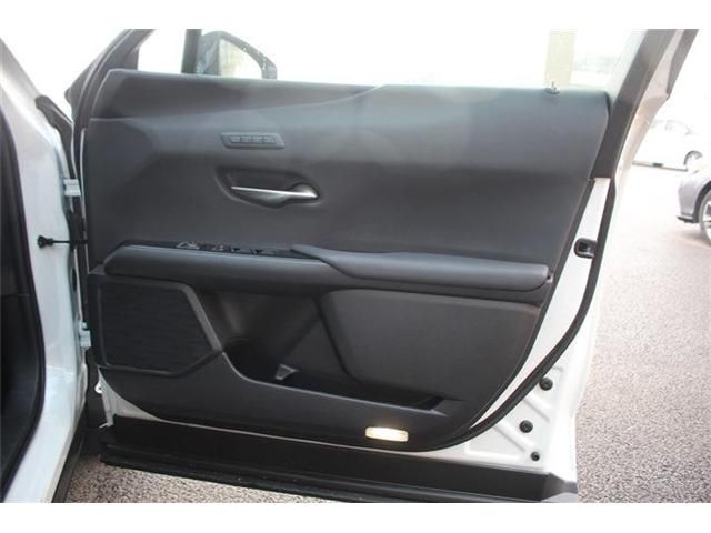LEXUS UX250h