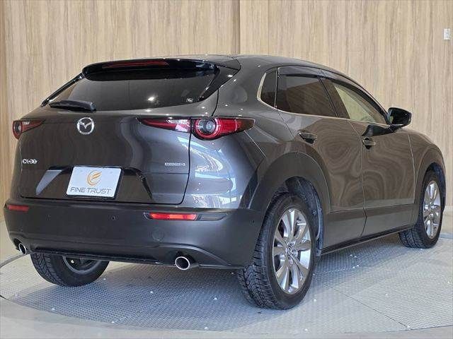 CX-30