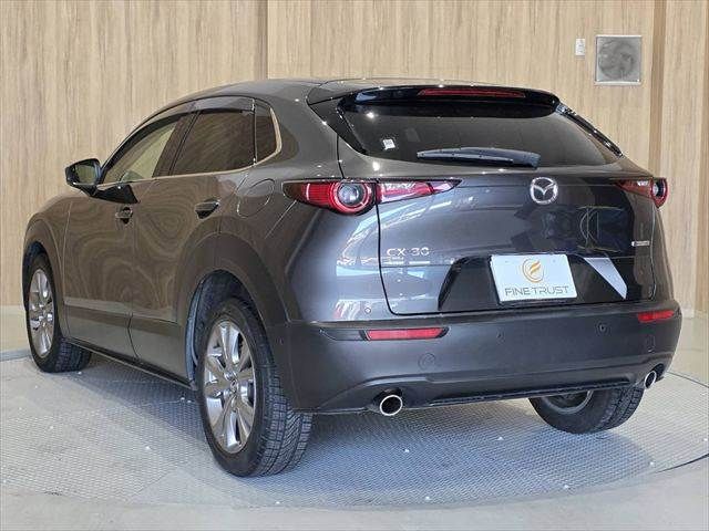 CX-30