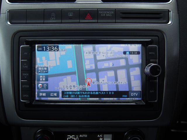 VOLKSWAGEN CROSS POLO