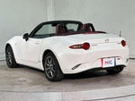 ROADSTER