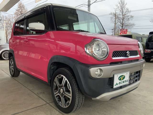 HUSTLER 4WD