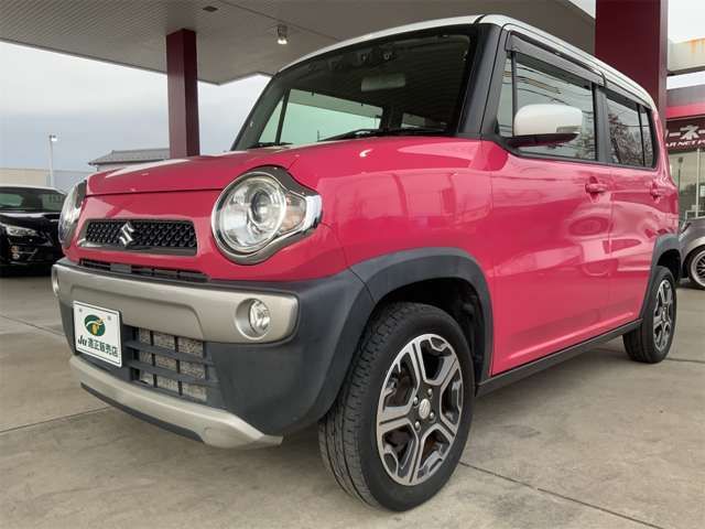 HUSTLER 4WD