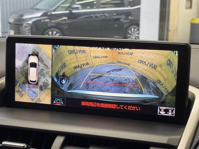 LEXUS NX300h