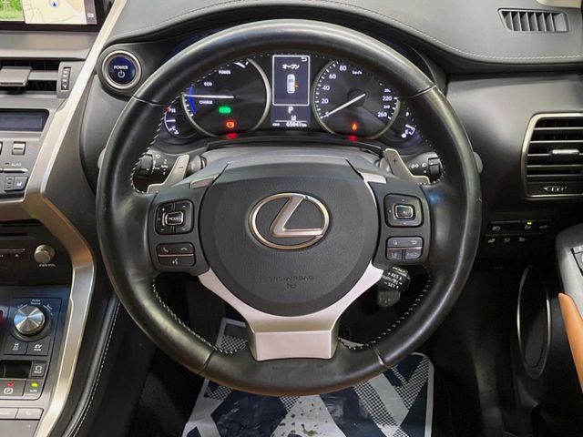 LEXUS NX300h