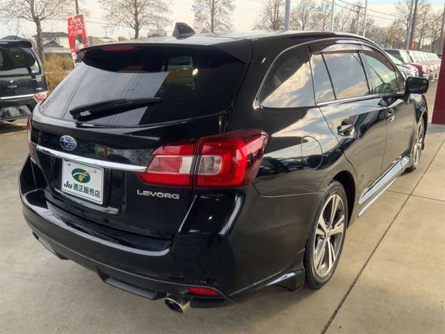 LEVORG