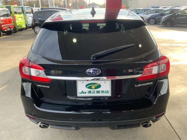 LEVORG