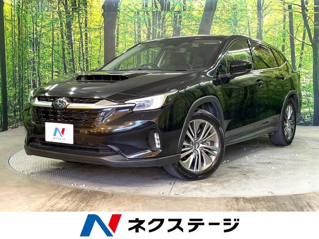 LEVORG LAYBACK