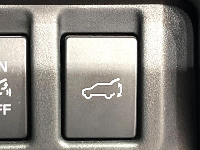 LEVORG LAYBACK