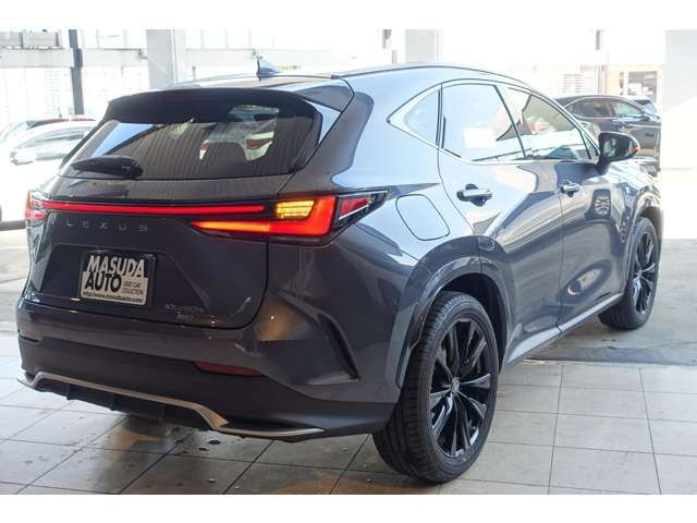 LEXUS NX450h+ AWD