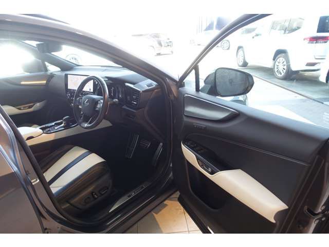 LEXUS NX450h+ AWD