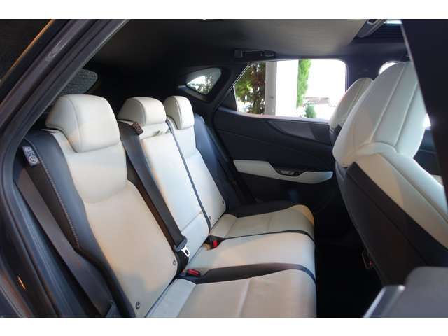 LEXUS NX450h+ AWD
