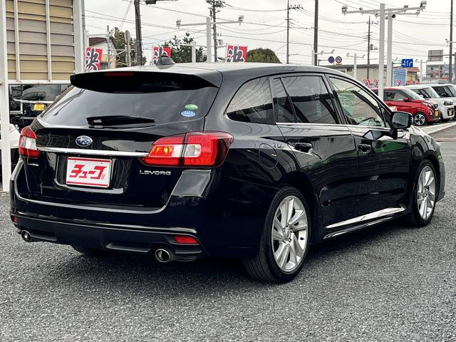 LEVORG
