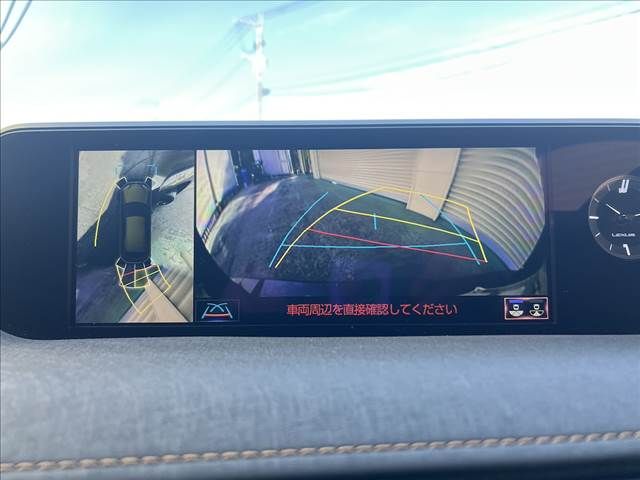 LEXUS UX250h