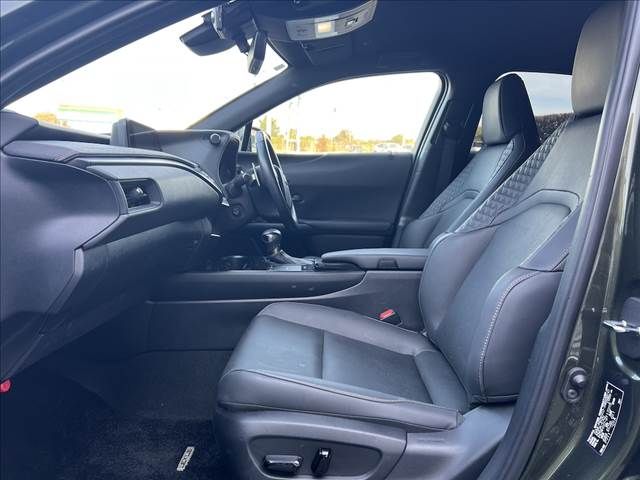 LEXUS UX250h