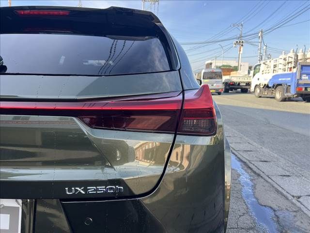 LEXUS UX250h
