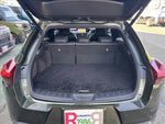 LEXUS UX250h