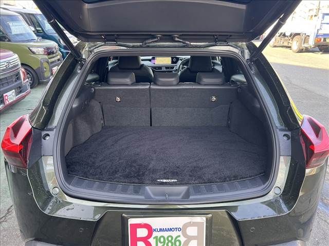 LEXUS UX250h