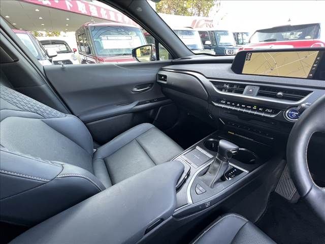 LEXUS UX250h