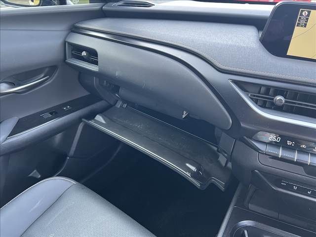 LEXUS UX250h