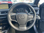 LEXUS UX250h