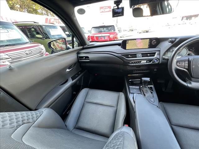 LEXUS UX250h