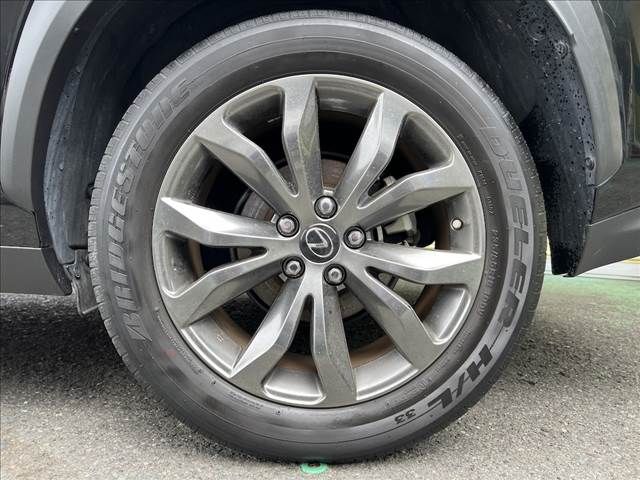LEXUS NX300h