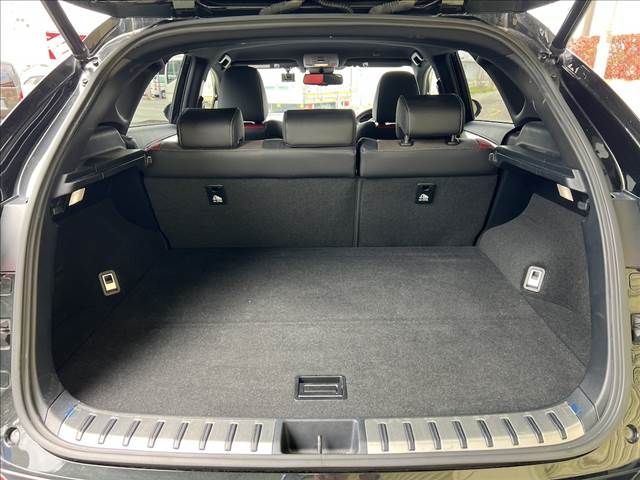 LEXUS NX300h