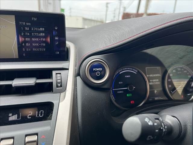 LEXUS NX300h