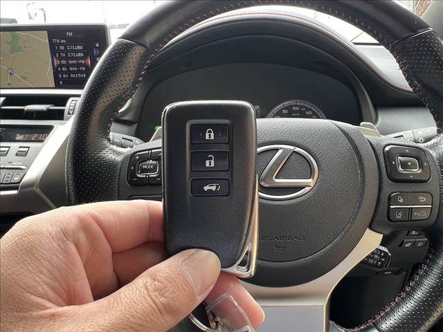 LEXUS NX300h