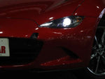 ROADSTER RF