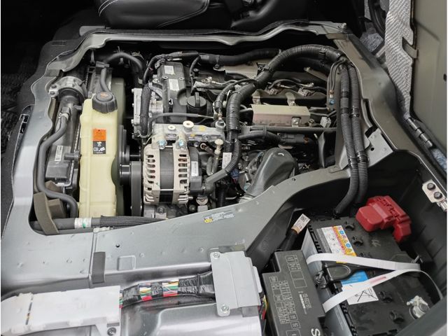 CARAVAN van 4WD