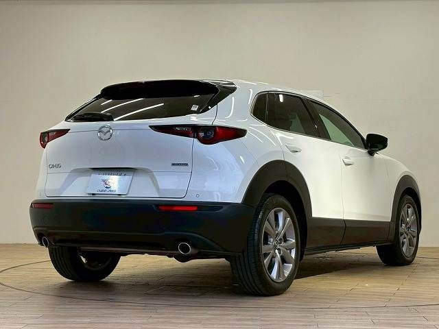 CX-30