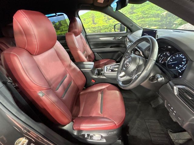 CX-8