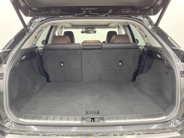 LEXUS RX450h AWD