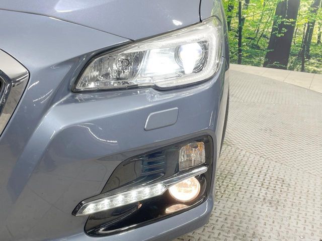 LEVORG