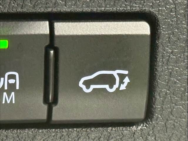 LEXUS NX300h